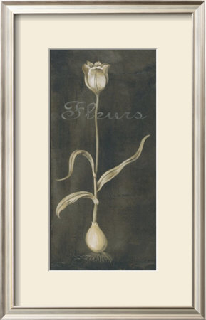 White Flower With Bulb by Stela Klein Pricing Limited Edition Print image