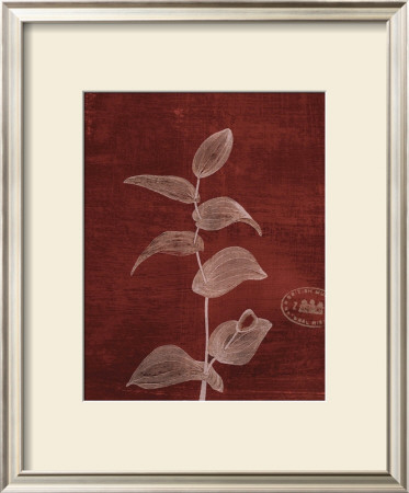 Leaf Study Iv by Paula Scaletta Pricing Limited Edition Print image