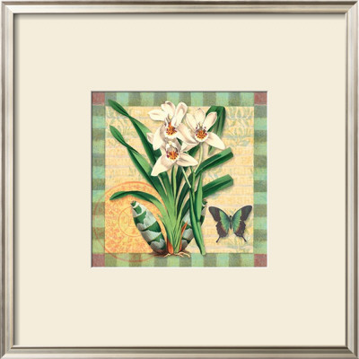 Asian Cymbidium by Walter Robertson Pricing Limited Edition Print image