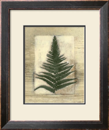 Texturized Fern I by Norman Wyatt Jr. Pricing Limited Edition Print image