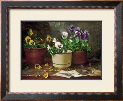 Pansies In Terra Cotta by Del Gish Pricing Limited Edition Print image