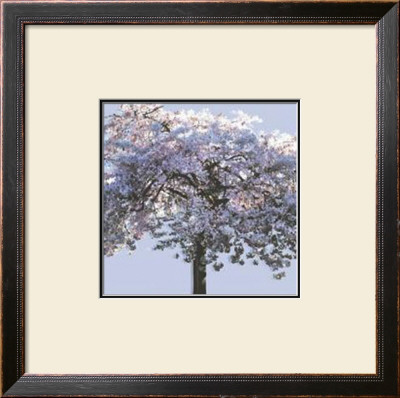 Spring Blossom I by Rosie Mclean Pricing Limited Edition Print image