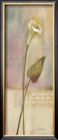 Elegant Calla Lily by Silvia Vassileva Pricing Limited Edition Print image