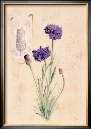 Violeta Ii by Juan Jose Molina Pricing Limited Edition Print image