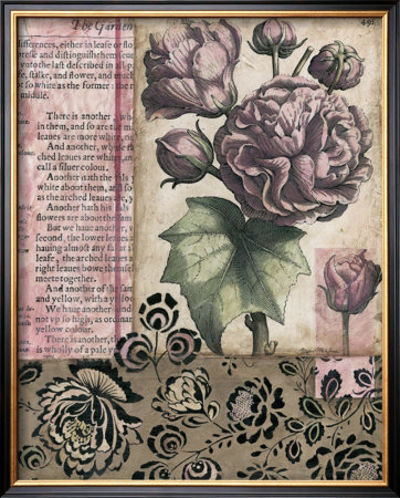 Cottage Rose Ii by Megan Meagher Pricing Limited Edition Print image