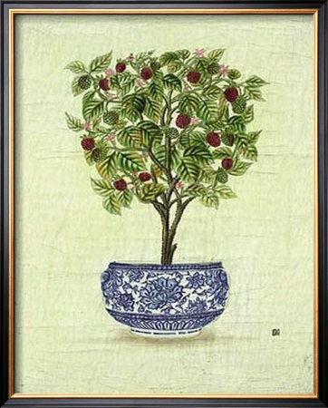 Red Berry Topiary by Iksel Pricing Limited Edition Print image