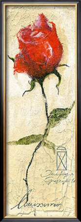 Rose Pashmina by Louissimo Pricing Limited Edition Print image