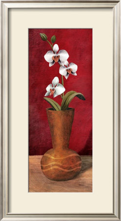 White Flower Ii by Tom Ward Pricing Limited Edition Print image