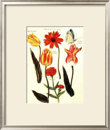 Tulips Ii by Nicolas Robert Pricing Limited Edition Print image