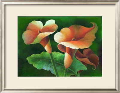 Flores Oscuro Ii by Cruz Pricing Limited Edition Print image