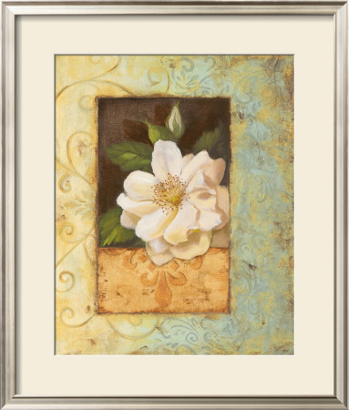 Antique Rose Ii by Jillian Jeffrey Pricing Limited Edition Print image