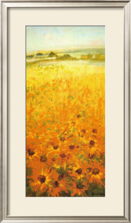 Field With Sunflowers by Ken Hildrew Pricing Limited Edition Print image