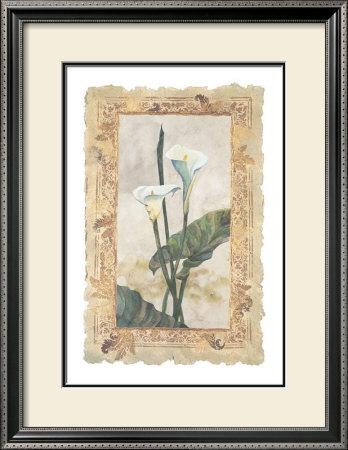 Calla Lily by George Caso Pricing Limited Edition Print image