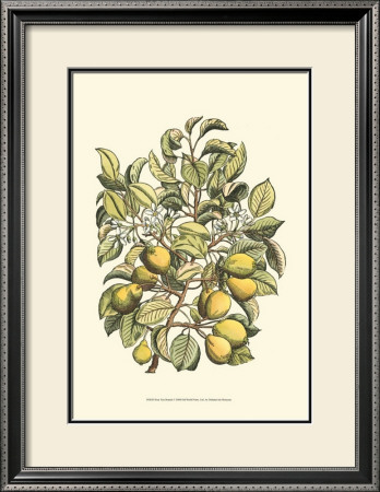 Pear Tree Branch by Henri Du Monceau Pricing Limited Edition Print image