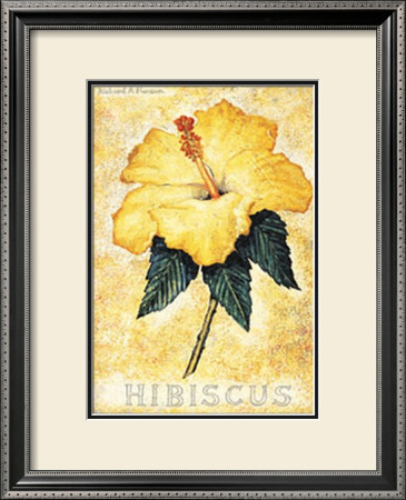 Hibiscus by Richard Henson Pricing Limited Edition Print image