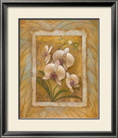 Illuminated Orchid Ii by Elaine Vollherbst-Lane Pricing Limited Edition Print image