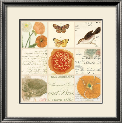 Poppy Vignette Ii by Paula Scaletta Pricing Limited Edition Print image