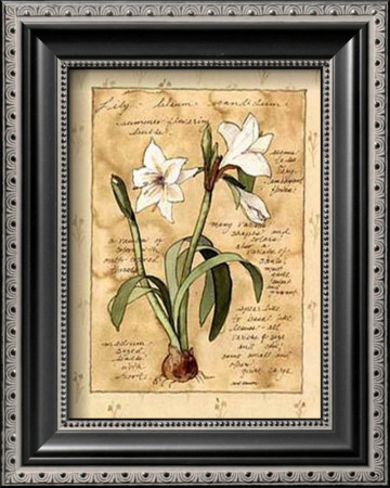 Lily by Barbara Norris Pricing Limited Edition Print image