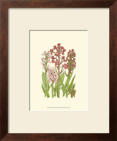 Summer Garden Vii by Anne Pratt Pricing Limited Edition Print image