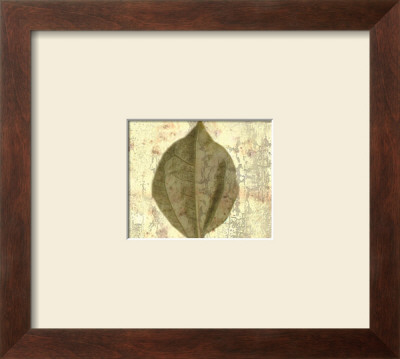 Classic Leaf Square Iii by Pierre Fortin Pricing Limited Edition Print image