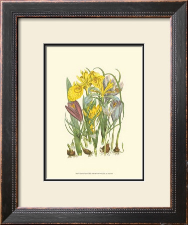 Summer Garden Iii by Anne Pratt Pricing Limited Edition Print image