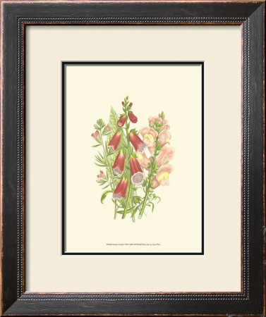 Summer Garden Viii by Anne Pratt Pricing Limited Edition Print image