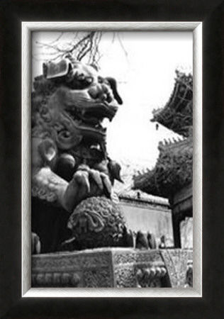 Imperial Lion, Beijing by Laura Denardo Pricing Limited Edition Print image