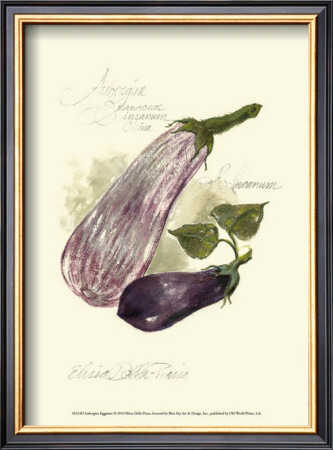 Aubergine Eggplant by Elissa Della-Piana Pricing Limited Edition Print image