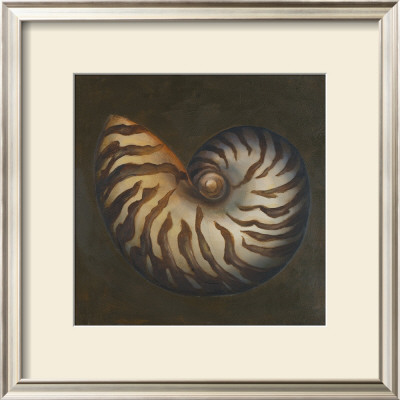 Seashell Ii by Patricia Quintero-Pinto Pricing Limited Edition Print image