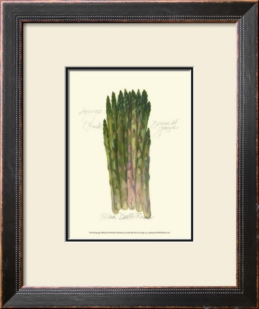 Asparagus Officinalis by Elissa Della-Piana Pricing Limited Edition Print image
