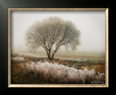 Tranquility I by Vitaly Geyman Pricing Limited Edition Print image