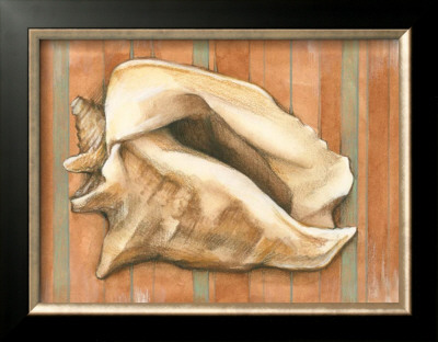 Shell On Stripes I by Laura Nathan Pricing Limited Edition Print image
