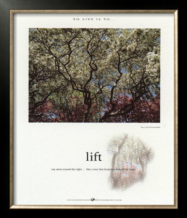 Lift by Francis Pelletier Pricing Limited Edition Print image