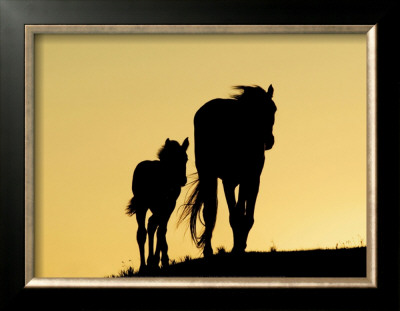 Two Mustangs by Klein & Hubert Pricing Limited Edition Print image