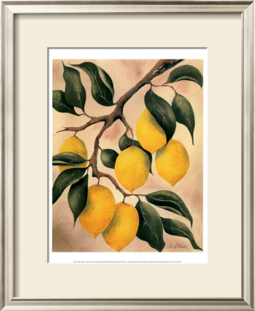 Italian Harvest, Lemons by Doris Allison Pricing Limited Edition Print image