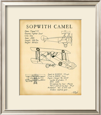 Sopwith Camel by Tara Friel Pricing Limited Edition Print image