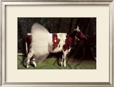 Ballerina Cow by Barry Downard Pricing Limited Edition Print image