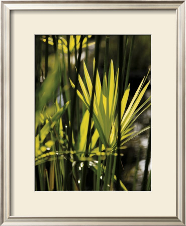 Green Leaves by Francois Goudier Pricing Limited Edition Print image