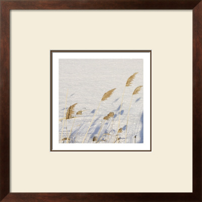 Country Snow Ii by Jean-Francois Dupuis Pricing Limited Edition Print image
