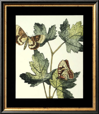 Butterflies And Leaves Iv by Megan Meagher Pricing Limited Edition Print image