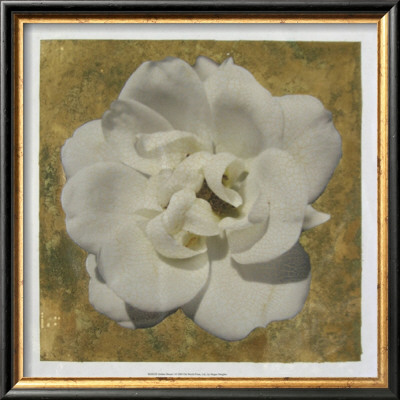 Golden Bloom I by Megan Meagher Pricing Limited Edition Print image
