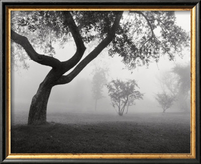 Into The Mist by Monte Nagler Pricing Limited Edition Print image