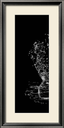 Water Game by Cédric Porchez Pricing Limited Edition Print image