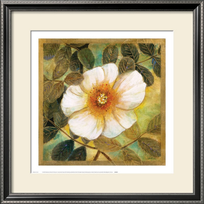 White Magnolia Ii by Danson Pricing Limited Edition Print image