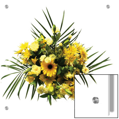 Assorted Yellow Flowers On White Background by K.M. Pricing Limited Edition Print image