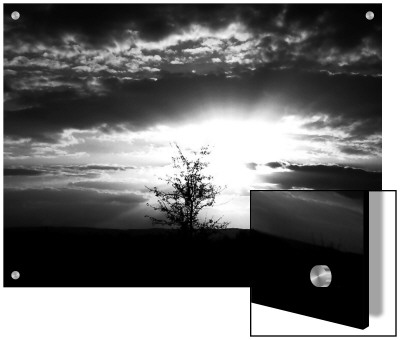 Sunburst And Clouds Above Silhouette Of Single Tree At Dawn by I.W. Pricing Limited Edition Print image