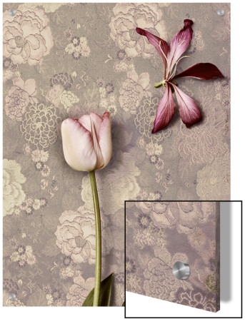Pink Tulip And Lily by K.T. Pricing Limited Edition Print image