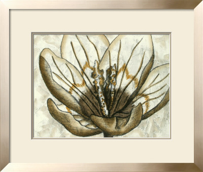 Fresco Flowerhead Iv by Nancy Slocum Pricing Limited Edition Print image
