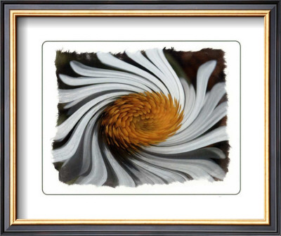 Coup De Foudre Iv by Giancarlo Riboli Pricing Limited Edition Print image