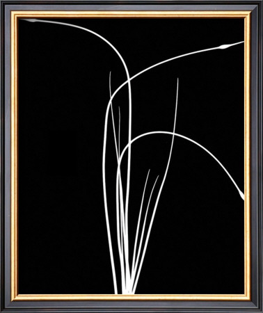 Wild Grasses Ii by K. Kennedy Pricing Limited Edition Print image